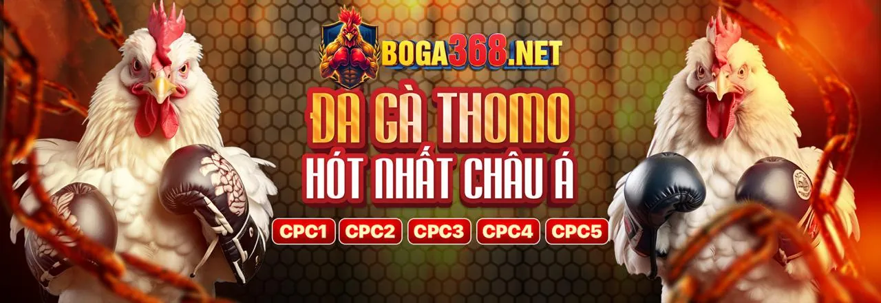 Sân bóng rổ chuyên nghiệp với ánh đèn rực rỡ và logo 100win