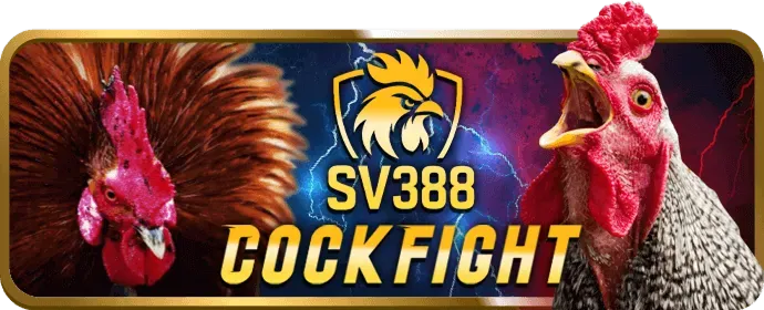 Hỗ trợ khách hàng 24/7 tại 100win